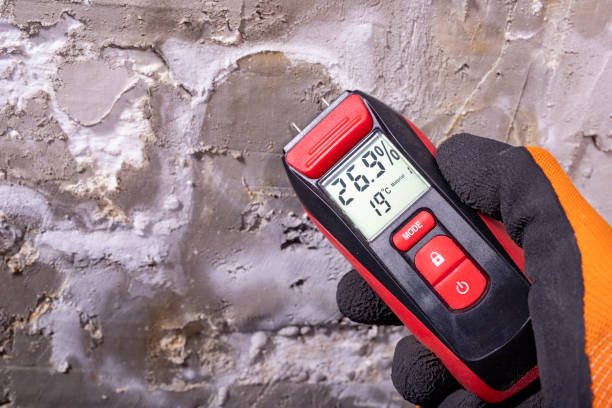 Mold Testing and Removal in Meridian, ID