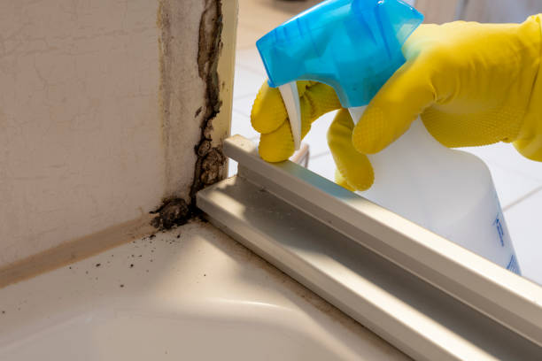 Best Mold Cleaning Services  in Merian, ID