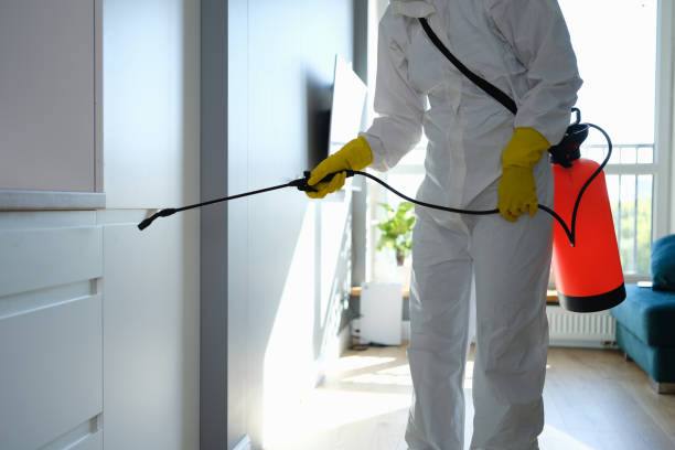 Best Commercial Mold Removal  in Merian, ID